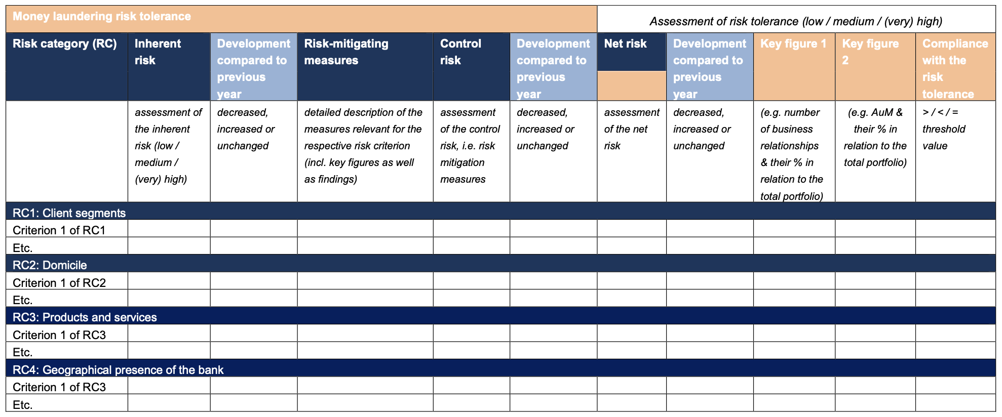 AML Risk Analysis 25 II AMLO-FINMA